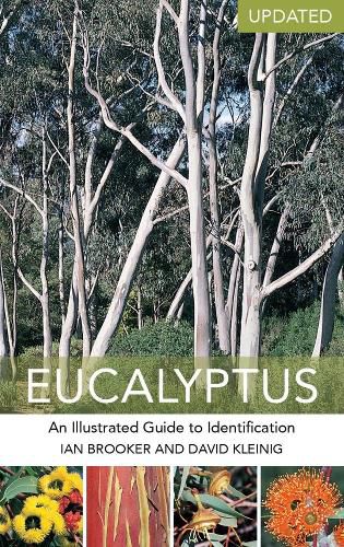 Cover image for Eucalyptus: An Illustrated Guide to Identification