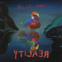Cover image for Ytilaer
