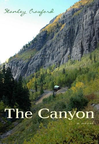 Cover image for The Canyon: A Novel