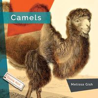 Cover image for Camels