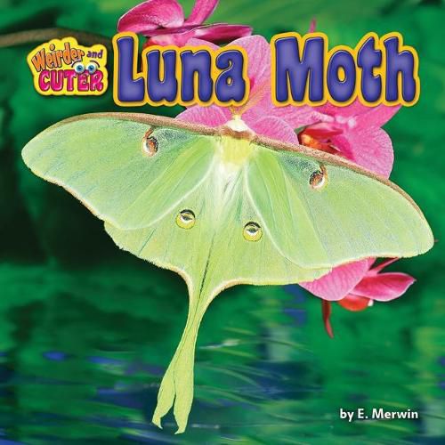 Cover image for Luna Moth