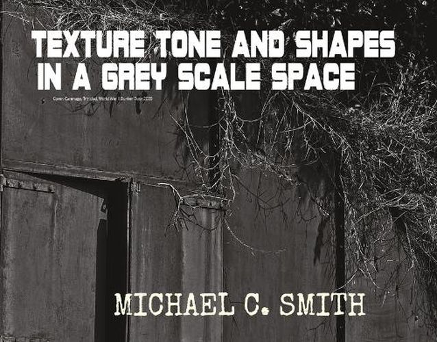 Cover image for Textures Tones and Shapes in a Grey Scale Space
