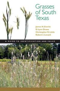 Cover image for Grasses of South Texas: A Guide to Identification and Value