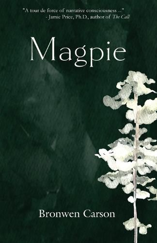 Cover image for Magpie