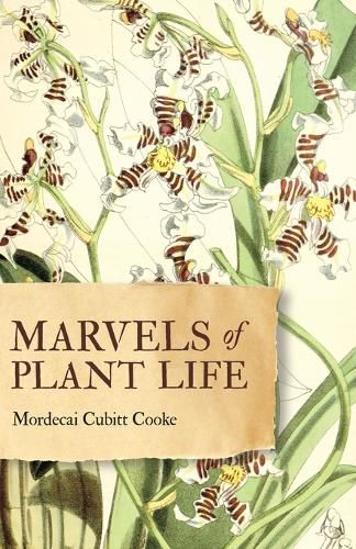 Cover image for Marvels of Plant Life
