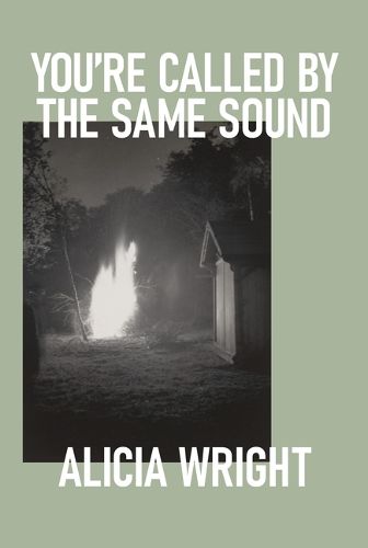 Cover image for You're Called by the Same Sound