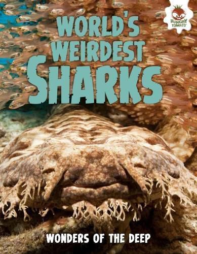 Cover image for Shark! World's Weirdest Sharks