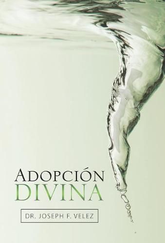 Cover image for Adopcion Divina