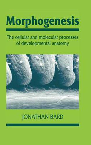 Morphogenesis: The Cellular and Molecular Processes of Developmental Anatomy