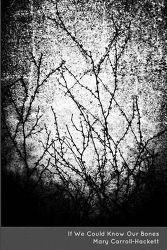 Cover image for If We Could Know Our Bones