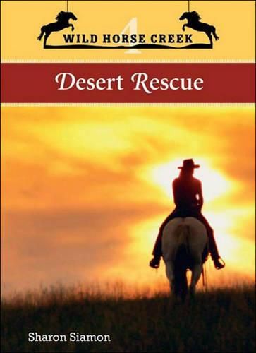 Cover image for Desert Rescue