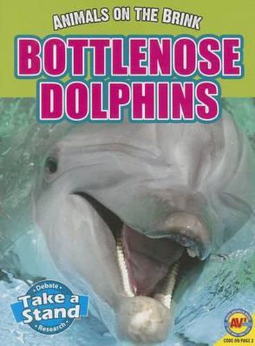 Bottlenose Dolphins