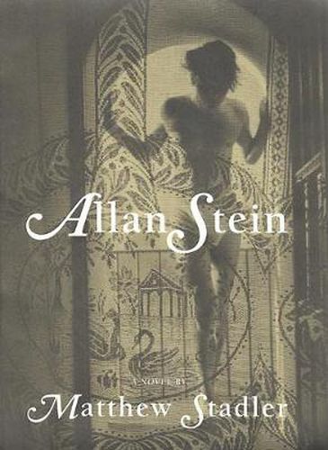 Cover image for Allan Stein