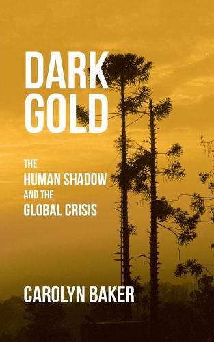 Cover image for Dark Gold