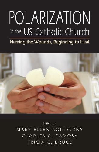 Cover image for Polarization in the US Catholic Church: Naming the Wounds, Beginning to Heal