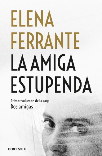Cover image for La amiga estupenda / My Brilliant Friend