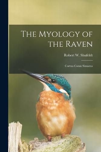 The Myology of the Raven