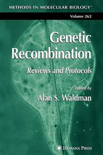 Cover image for Genetic Recombination: Reviews and Protocols