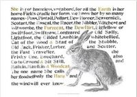 Cover image for Jackie Morris Poster: Names of the Hare, The