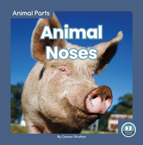 Cover image for Animal Parts: Animal Noses