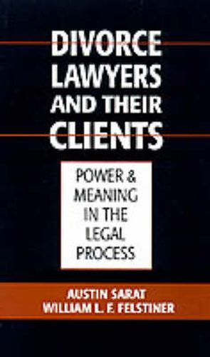 Cover image for Divorce Lawyers and Their Clients: Power and Meaning in the Legal Process