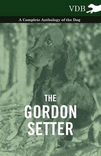 Cover image for The Gordon Setter - A Complete Anthology of the Dog