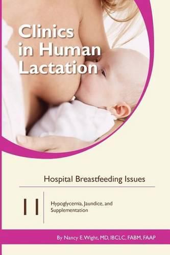 Cover image for Clinics in Human Lactation 11: Hospital Breastfeeding Issues