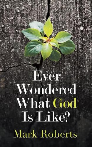 Cover image for Ever Wondered What God Is Like?