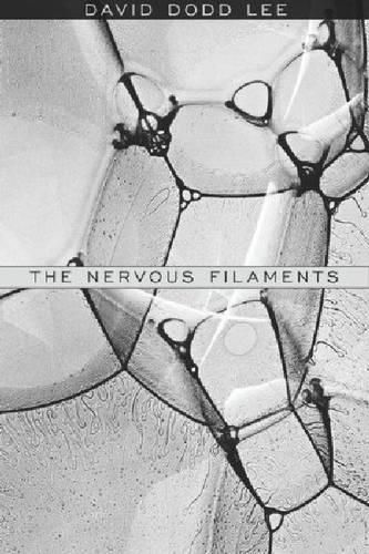 The Nervous Filaments