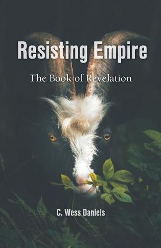 Cover image for Resisting Empire: The Book of Revelation as Resistance