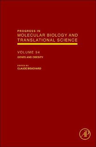 Cover image for Genes and Obesity