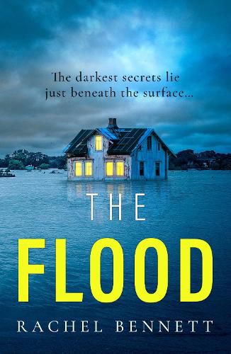 Cover image for The Flood