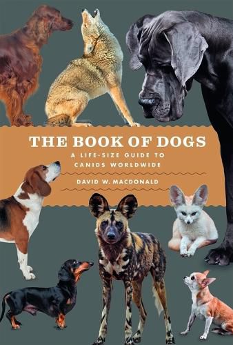 Cover image for The Book of Dogs