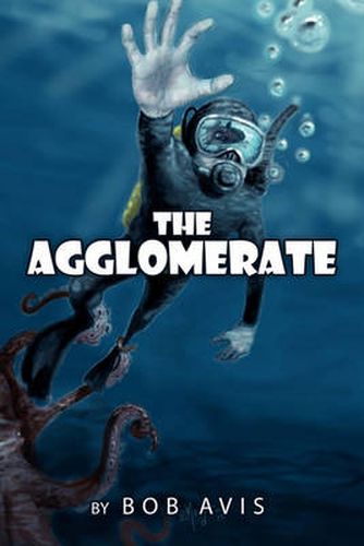 Cover image for The Agglomerate