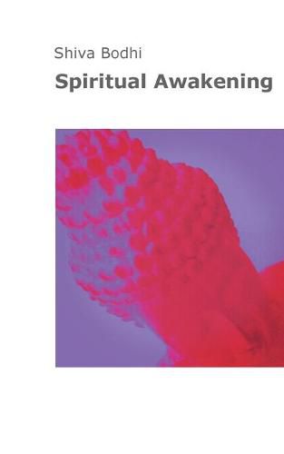 Cover image for Spiritual Awakening: Thoughts, illusions and aberrations on the path to spiritual awakening for Yogis and Buddhists.