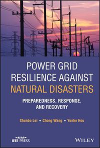 Cover image for Power Grid Resilience against Natural Disasters: Preparedness, Response, and Recovery