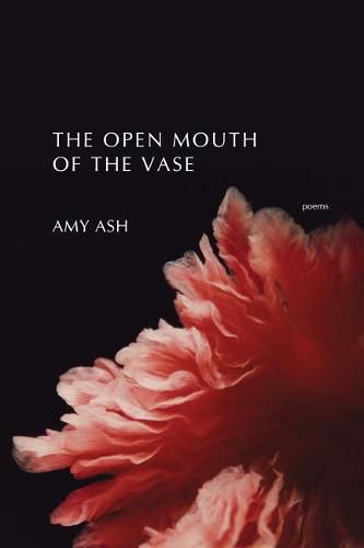 Cover image for The Open Mouth of the Vase