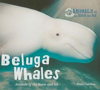 Cover image for Beluga Whales