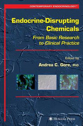 Cover image for Endocrine-Disrupting Chemicals: From Basic Research to Clinical Practice