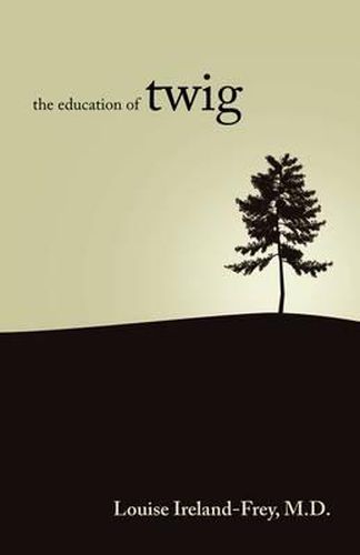 Cover image for The Education of Twig