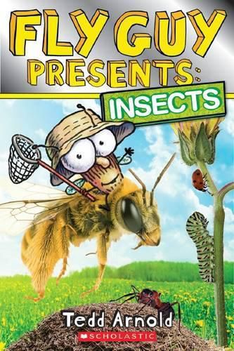Cover image for Fly Guy Presents: Insects
