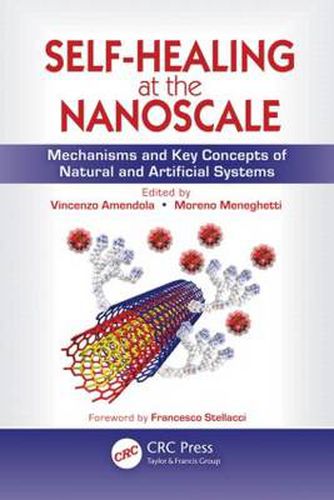 Cover image for Self-Healing at the Nanoscale: Mechanisms and Key Concepts of Natural and Artificial Systems