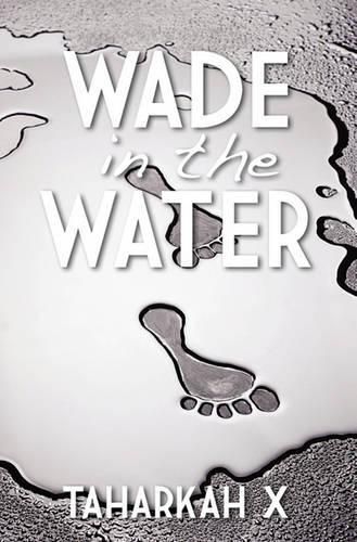 Cover image for Wade in the Water