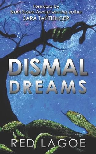 Cover image for Dismal Dreams