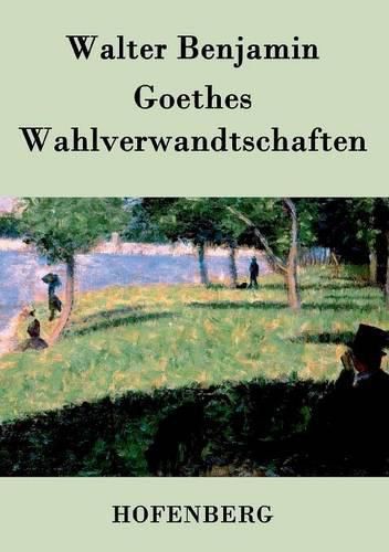 Cover image for Goethes Wahlverwandtschaften