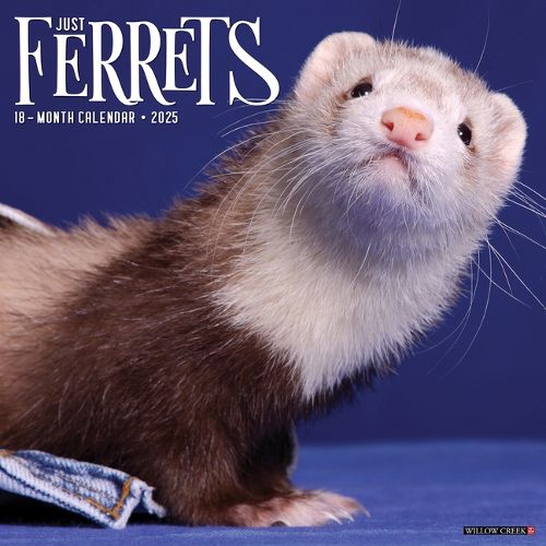 Cover image for Ferrets 2026 12 X 12 Wall Calendar
