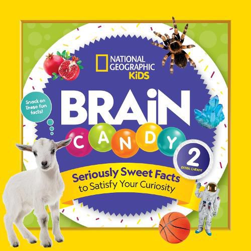 Cover image for Brain Candy 2