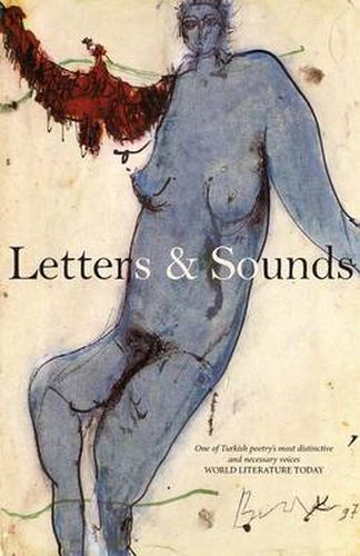 Cover image for Letters & Sounds