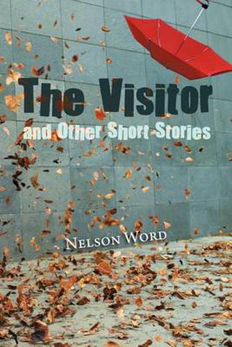 Cover image for The Visitor and Other Short Stories