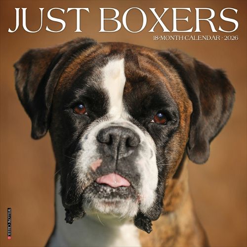 Cover image for Boxers 2026 Wall Calendar